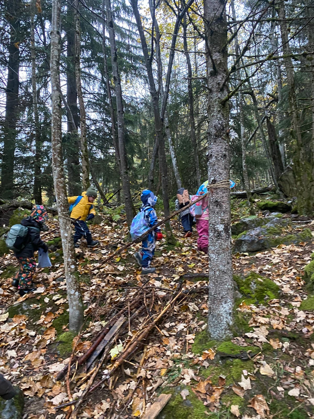Children outdoors at a Forest Camp Chamonix session in the valley