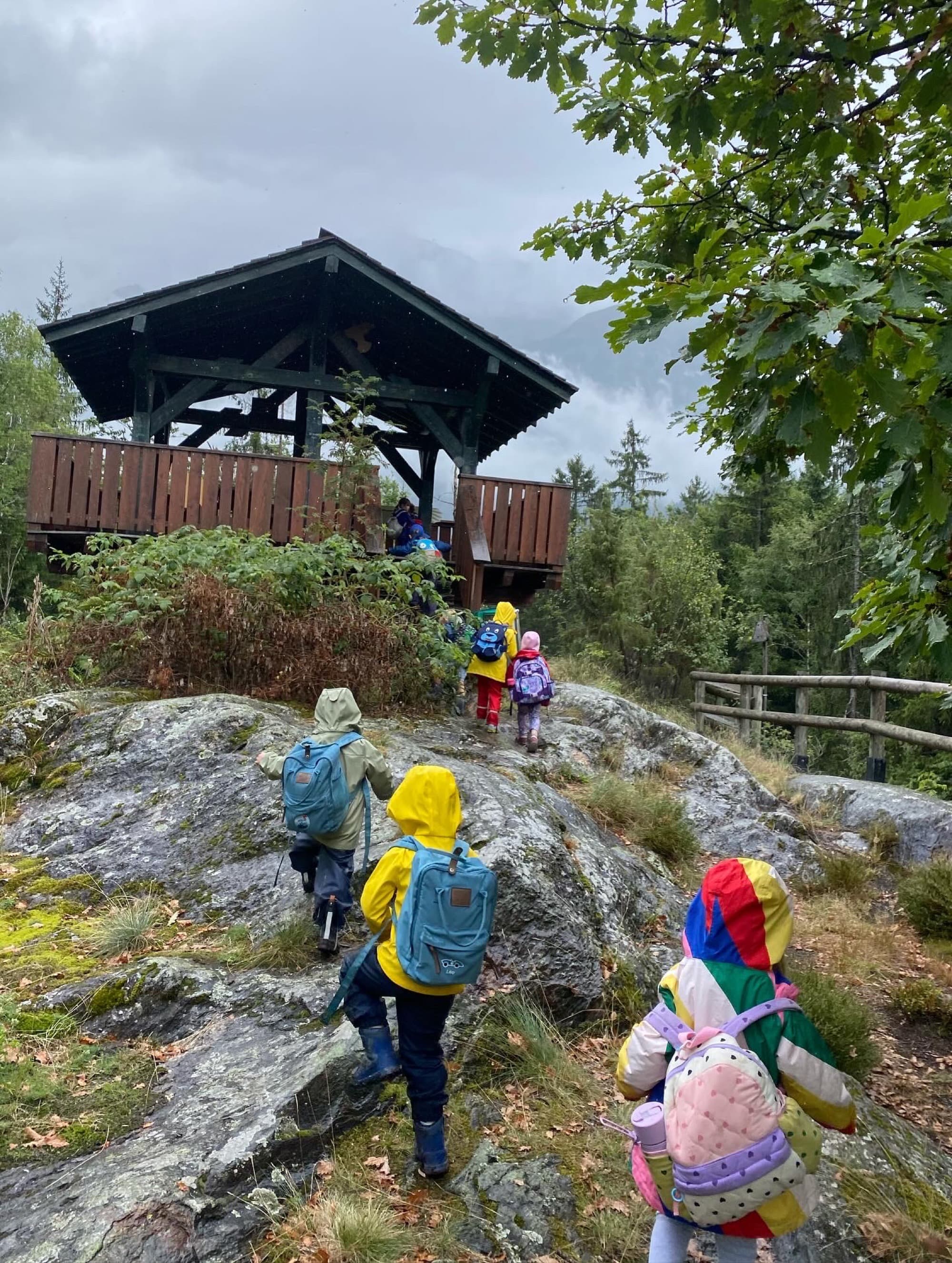 Children hiking through the forest in the Chamonix valley