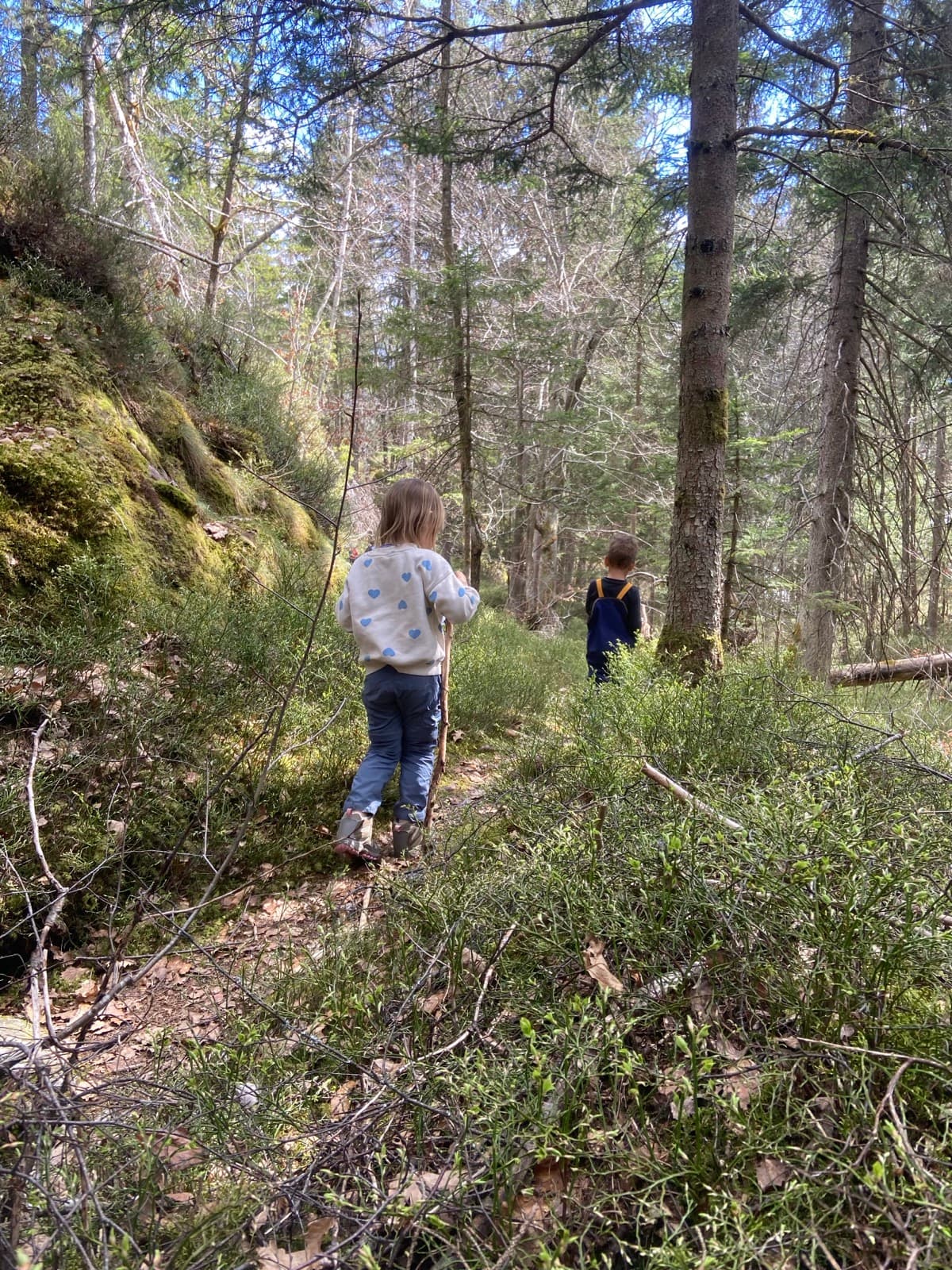 Children outdoors at a Forest Camp Chamonix session in the valley