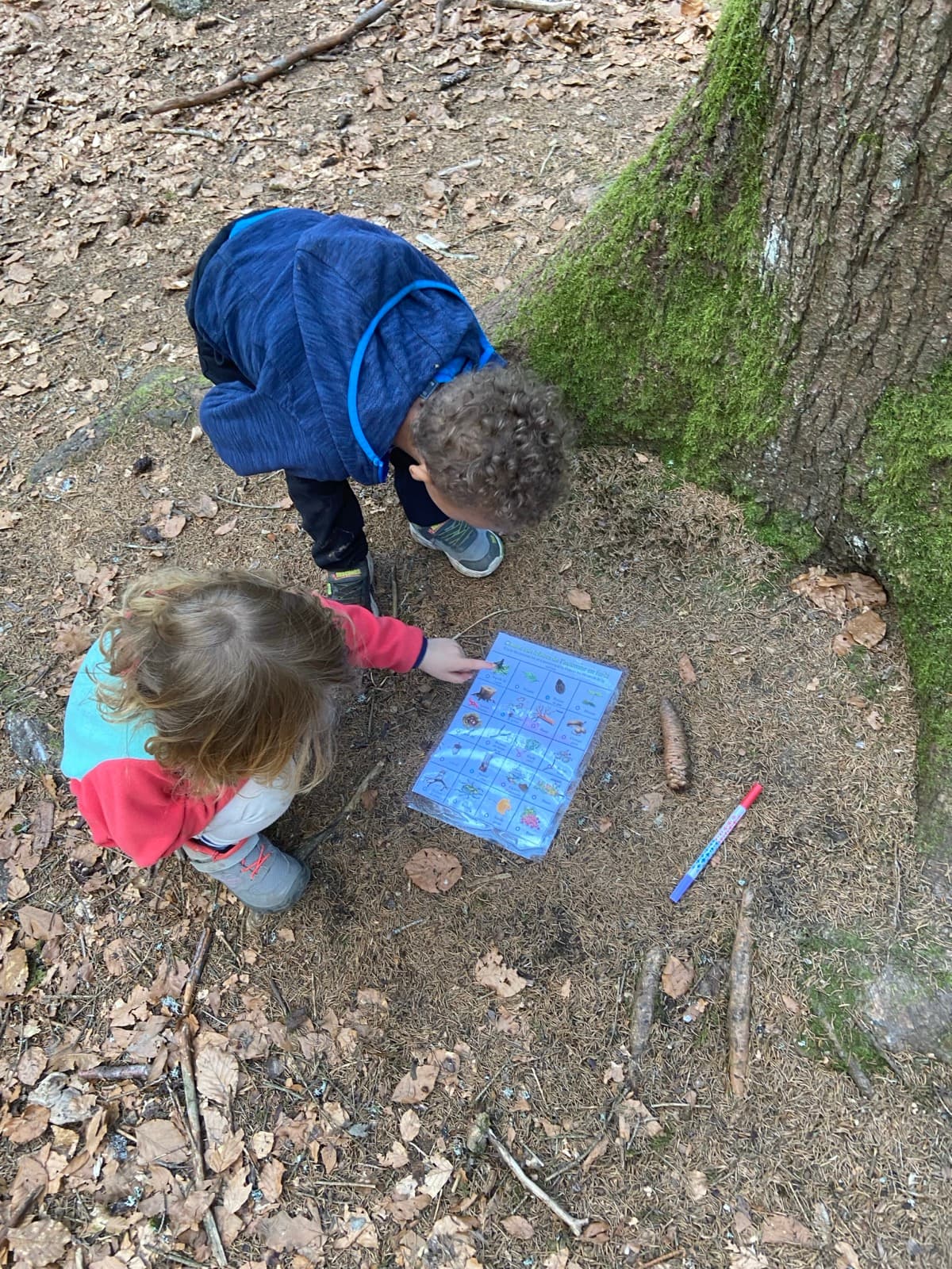 Children outdoors at a Forest Camp Chamonix session in the valley