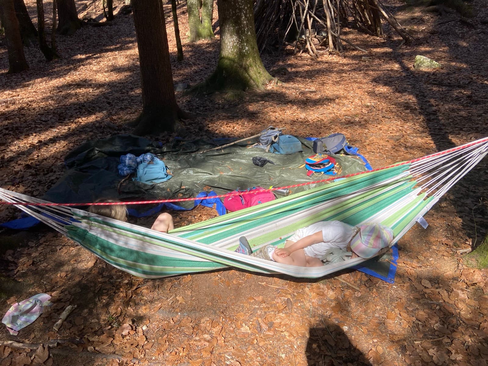 Children outdoors at a Forest Camp Chamonix session in the valley