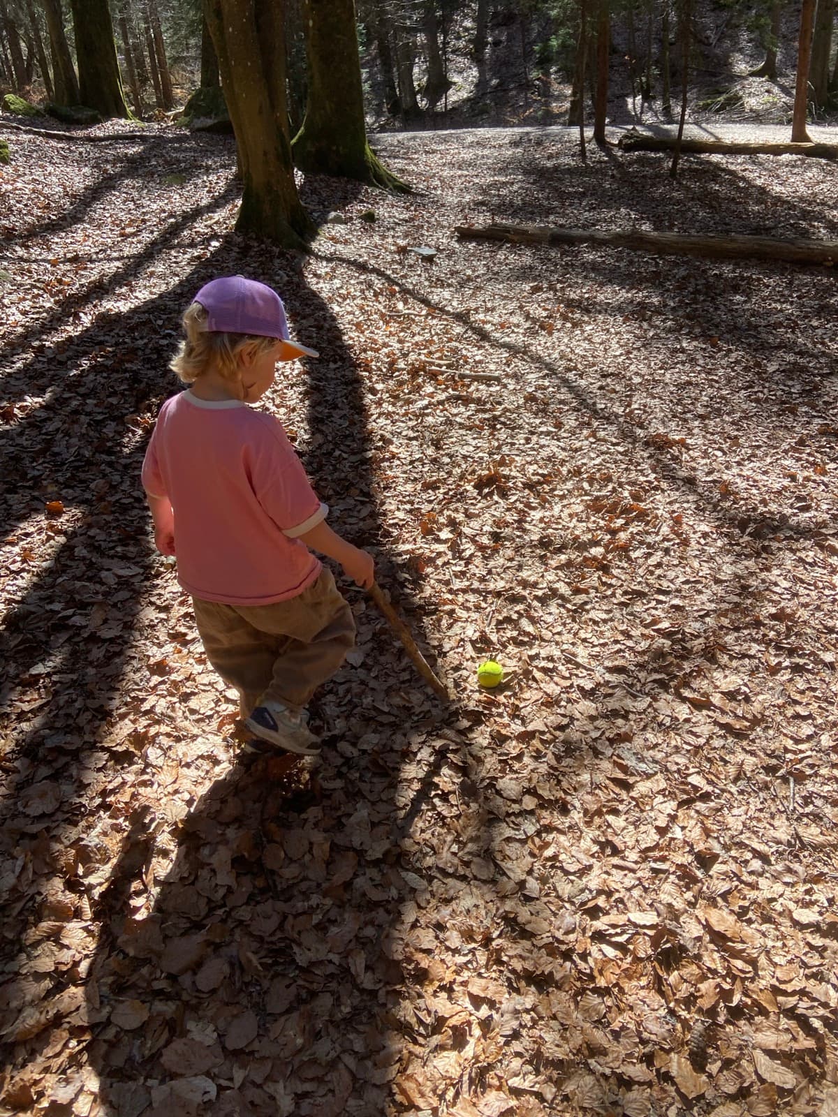 Children outdoors at a Forest Camp Chamonix session in the valley