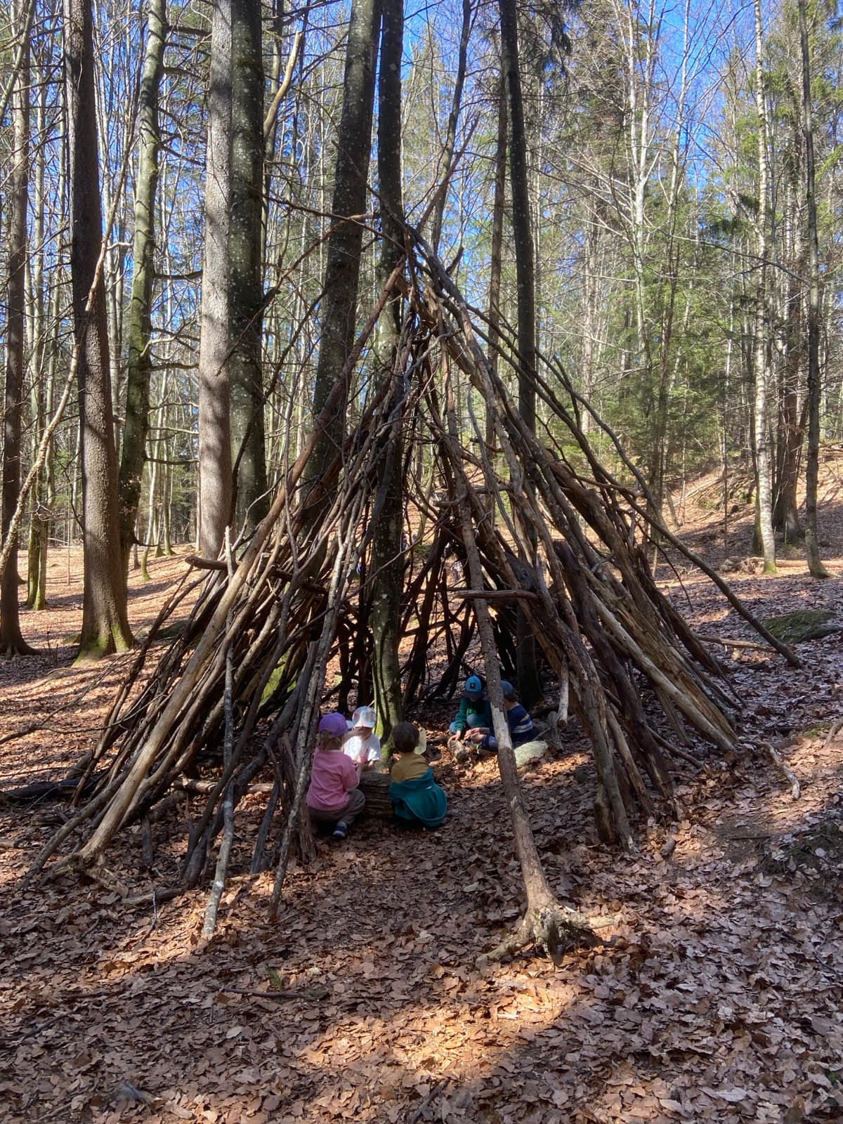 Children outdoors at a Forest Camp Chamonix session in the valley