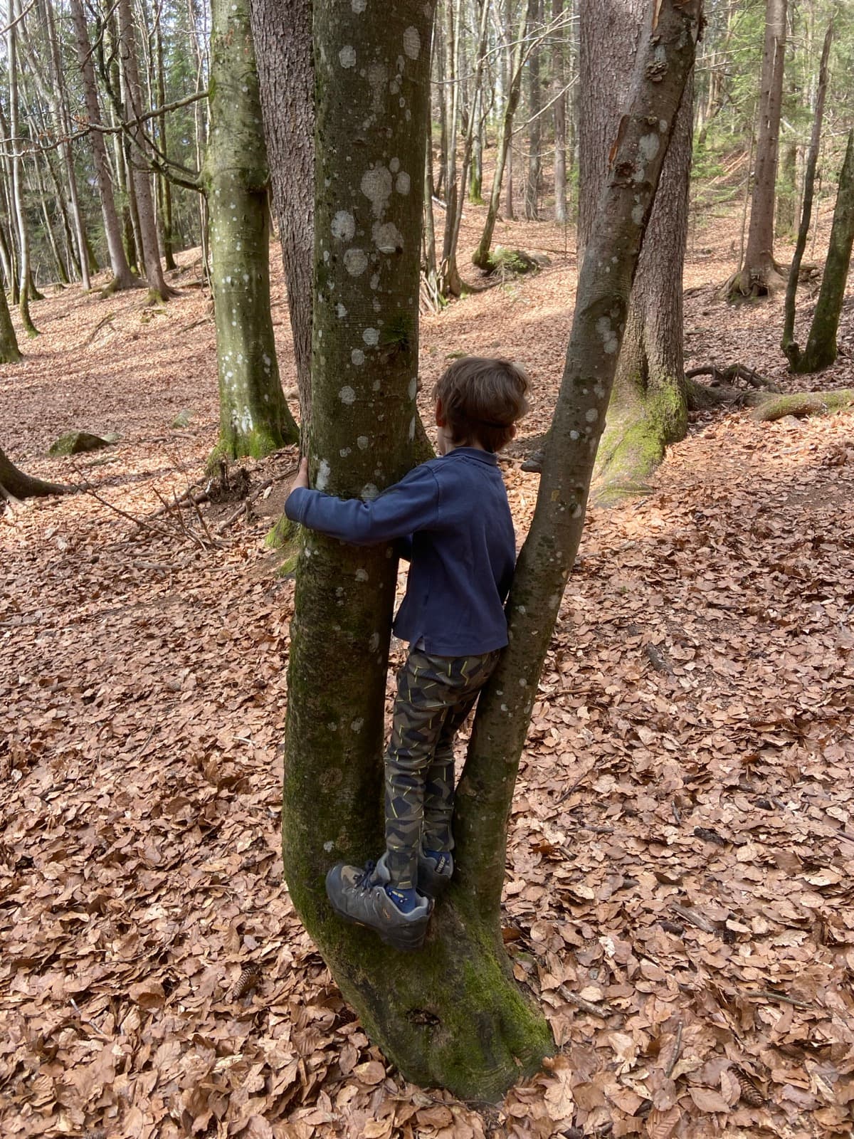 Children outdoors at a Forest Camp Chamonix session in the valley
