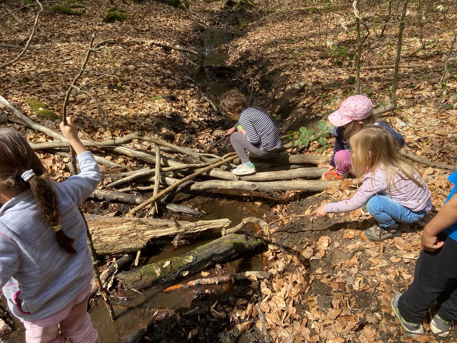 Children outdoors at a Forest Camp Chamonix session in the valley