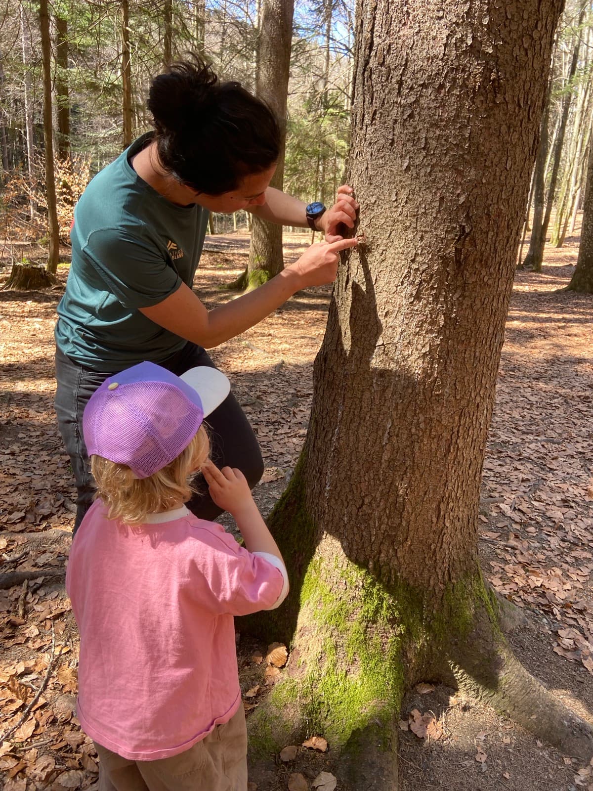 Children outdoors at a Forest Camp Chamonix session in the valley