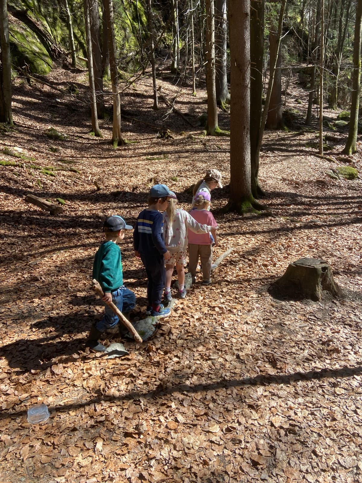 Children outdoors at a Forest Camp Chamonix session in the valley