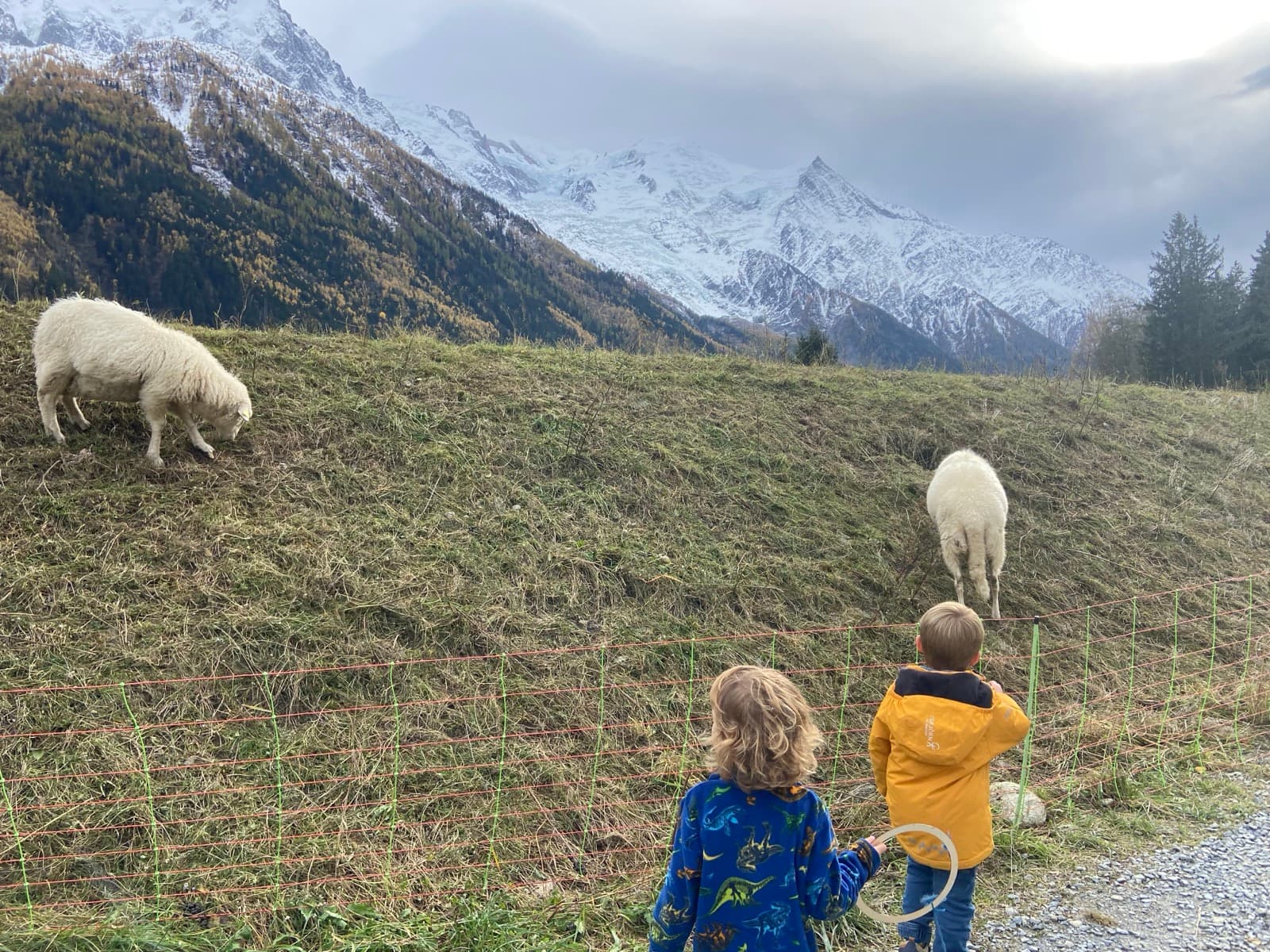 Children outdoors at a Forest Camp Chamonix session in the valley