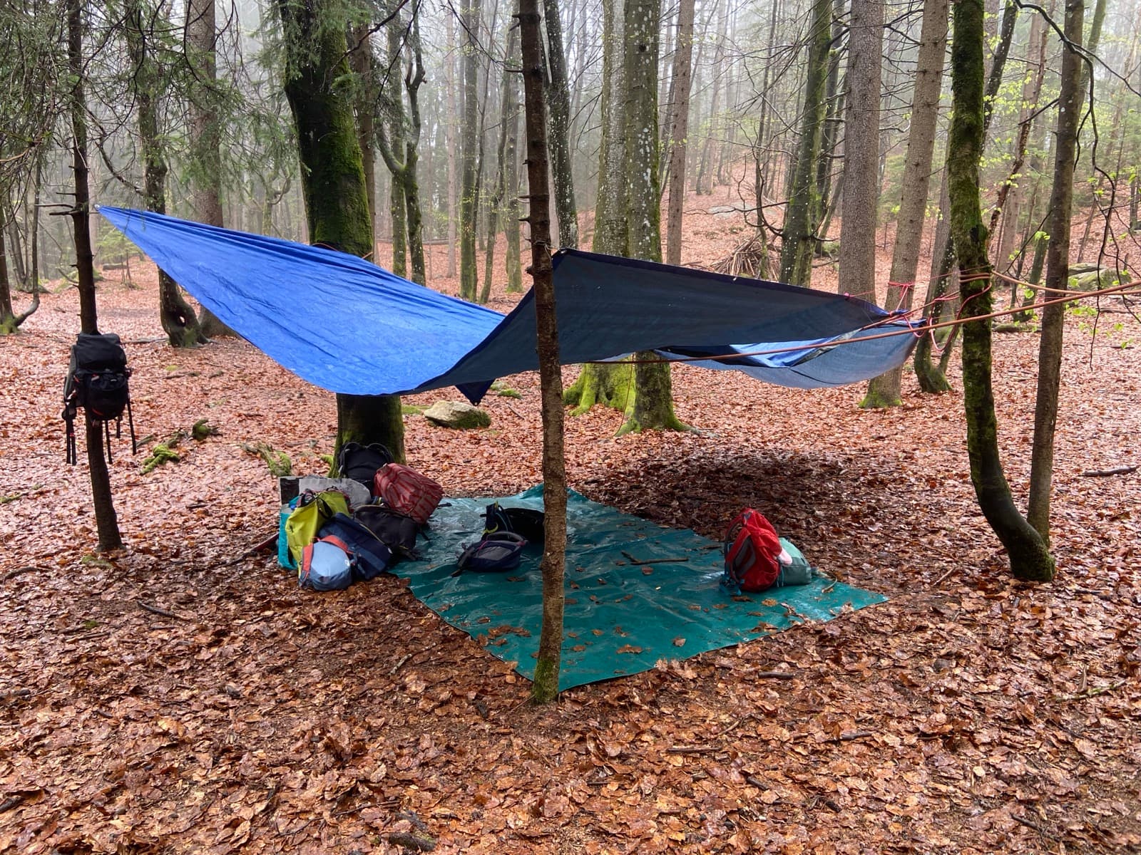 Children outdoors at a Forest Camp Chamonix session in the valley