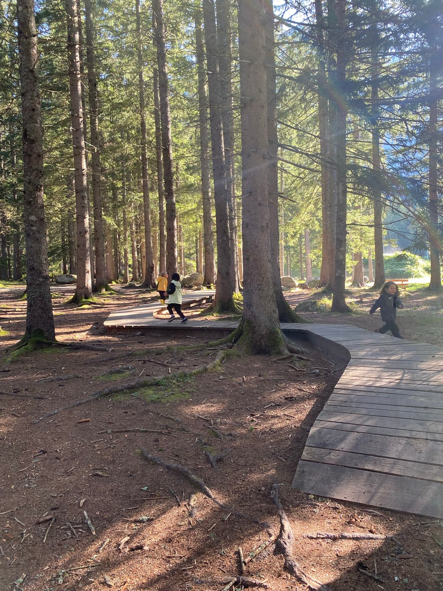 Summer Camp — Week 3