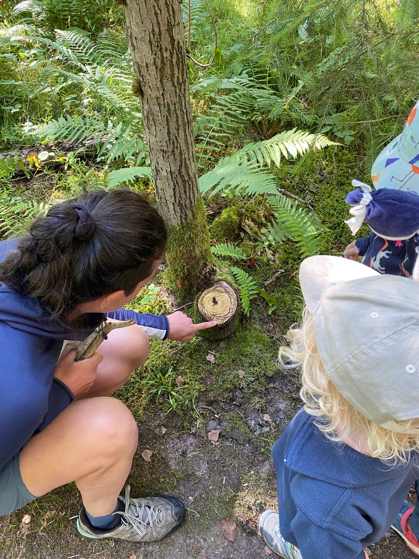 Observation and experiments