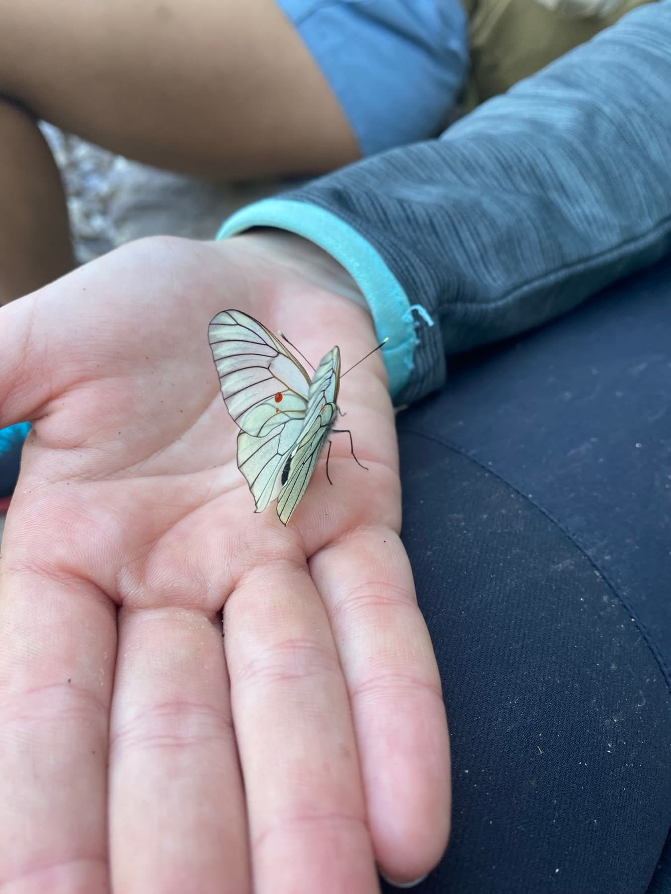 Small hands, big discoveries