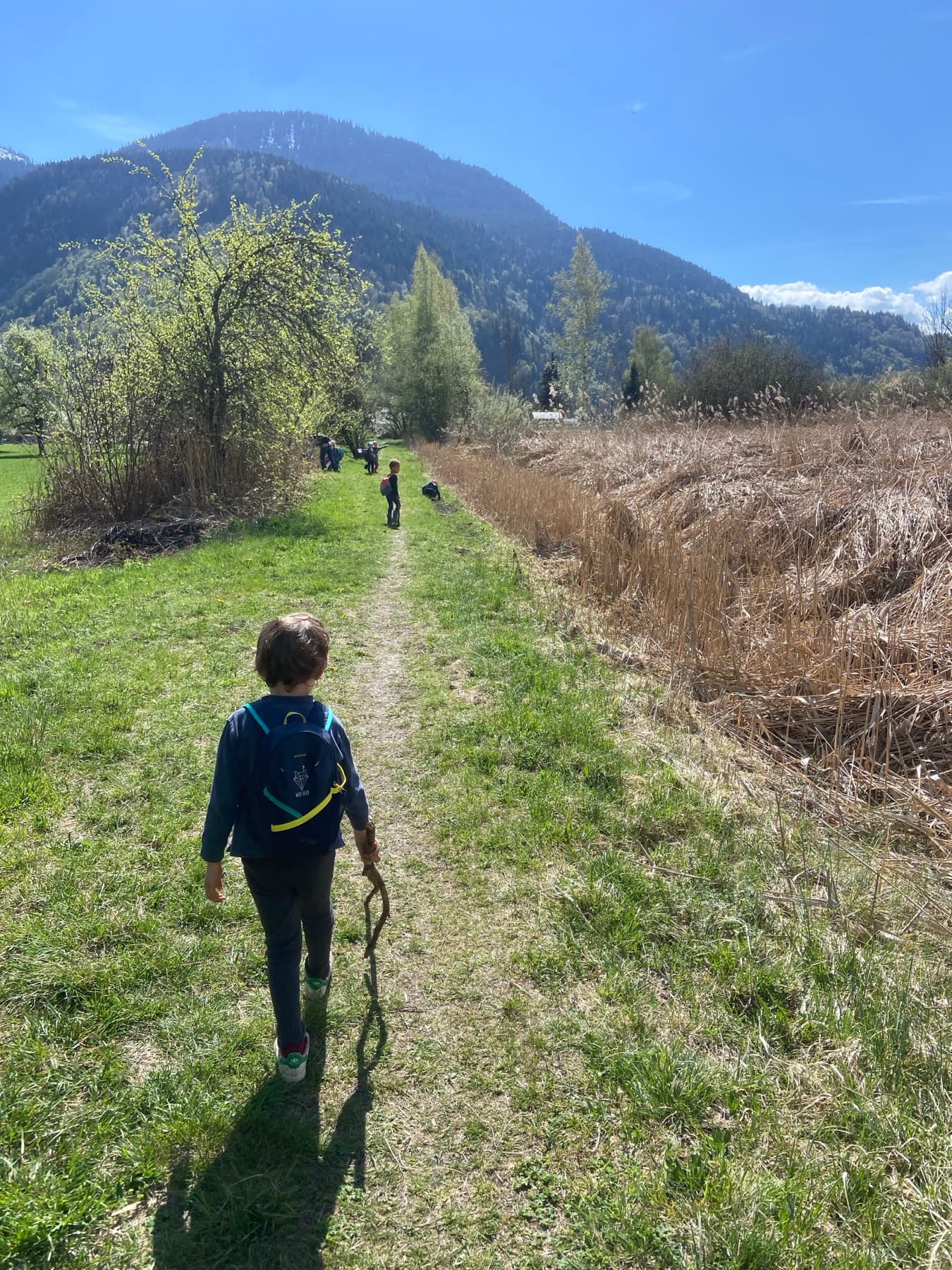 Summer Camp — Week 2